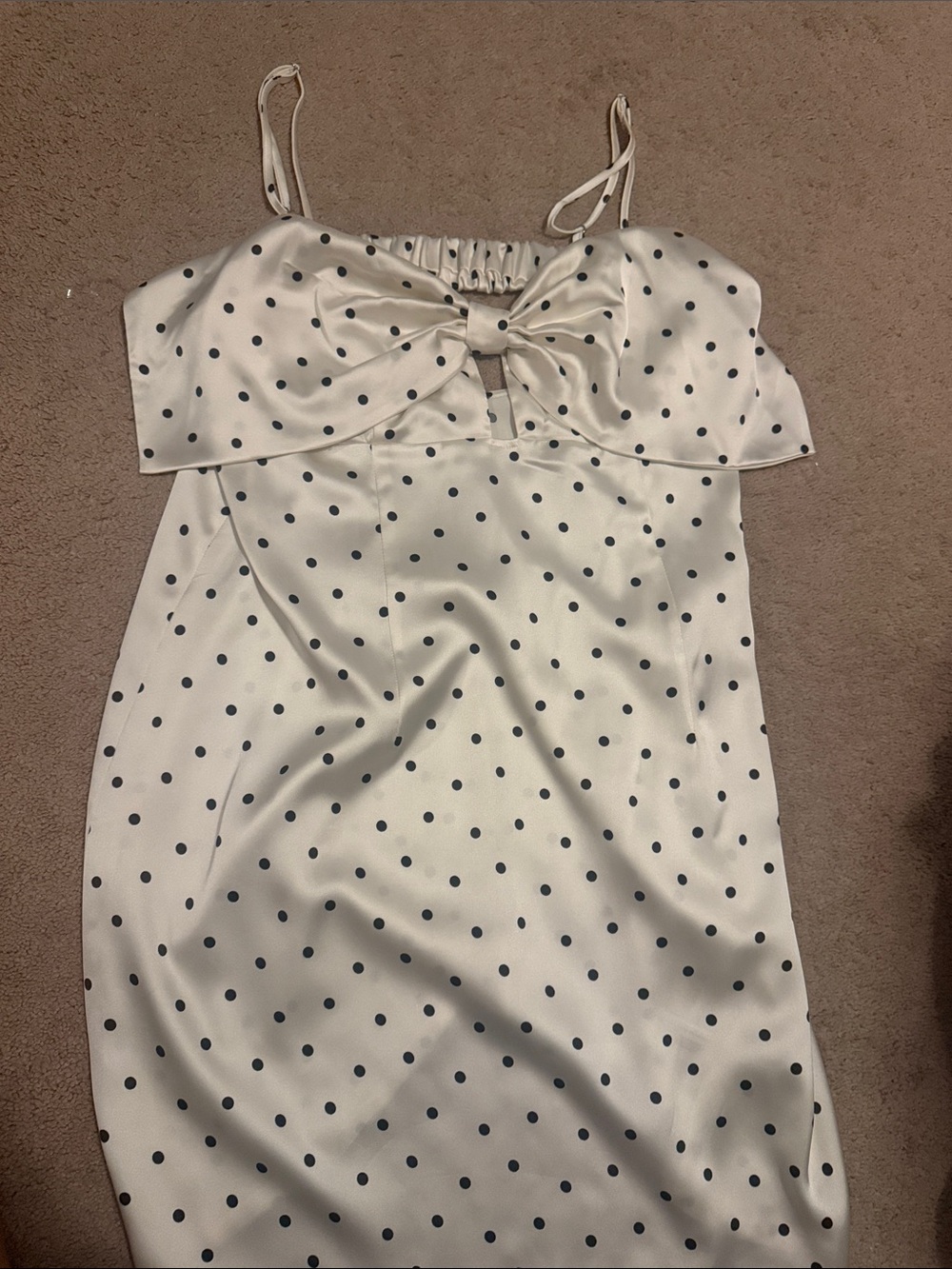 Wild Fable Polka Dot Dress